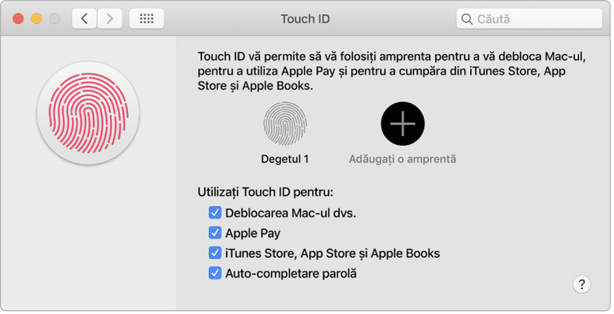 Fereastra cu preferințe Touch ID cu opțiuni pentru adăugarea unei amprente și utilizarea Touch ID pentru a vă debloca Mac-ul, utilizarea Apple Pay și cumpărarea din iTunes Store, App Store și Book Store.