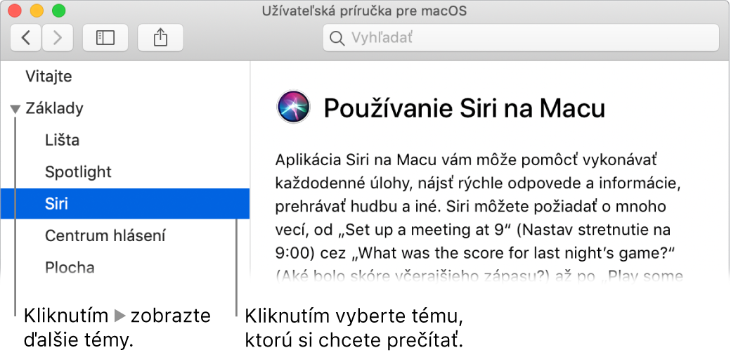 Prehliadač Pomocníka znázorňujúci spôsob zobrazenia tém z postranného panela a spôsob zobrazenia obsahu témy.