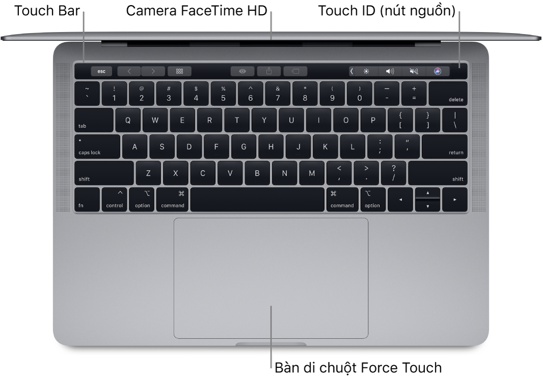 Nhìn xuống MacBook Pro đang mở, với các chỉ thị đến Touch Bar, camera FaceTime HD, Touch ID (nút nguồn) và bàn di chuột Force Touch.