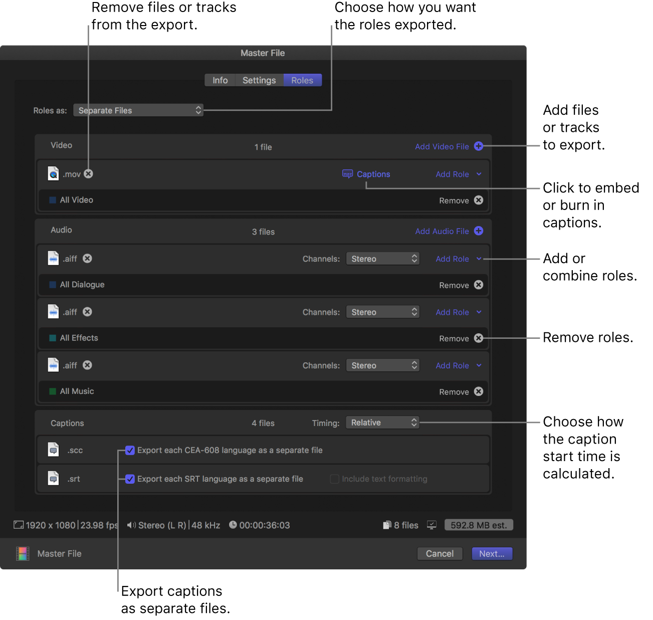 The Settings pane of the Share window for the Master File destination