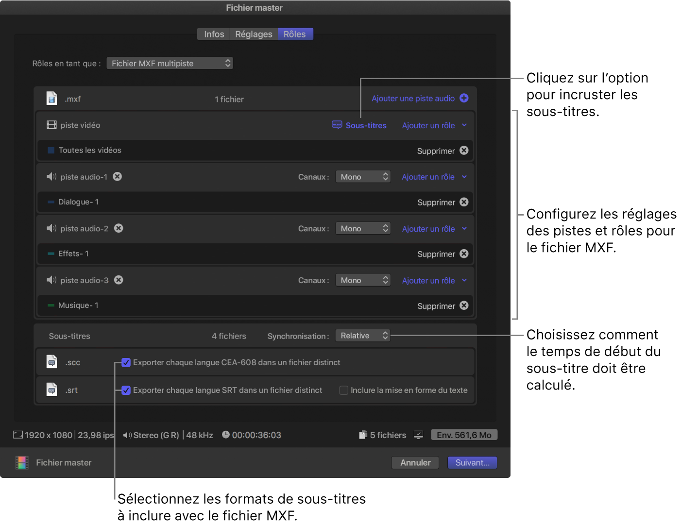 Fenêtre Rôles de la fenêtre Partager pour la destination Fichier master