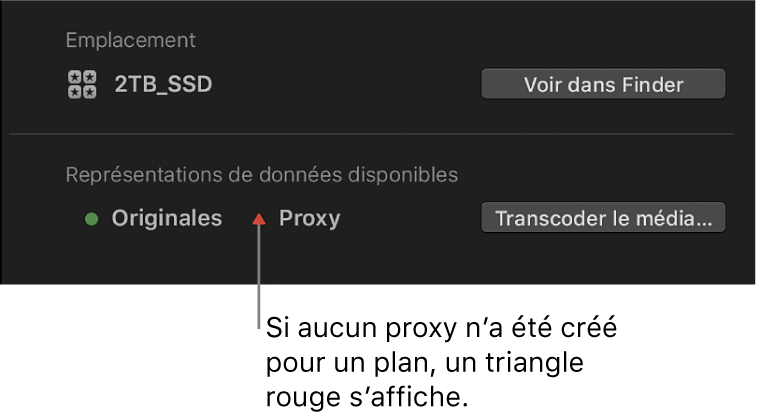 Inspecteur d’informations affichant un triangle rouge indiquant qu’aucun fichier proxy n’existe pour le plan sélectionné