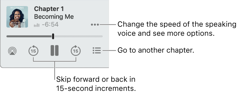 The audiobook player in Apple Books, showing the More Options button (near the top-right corner), the Table of Contents button (near the bottom-right corner), and the Skip Forward and Skip Back buttons (near the lower left and right).