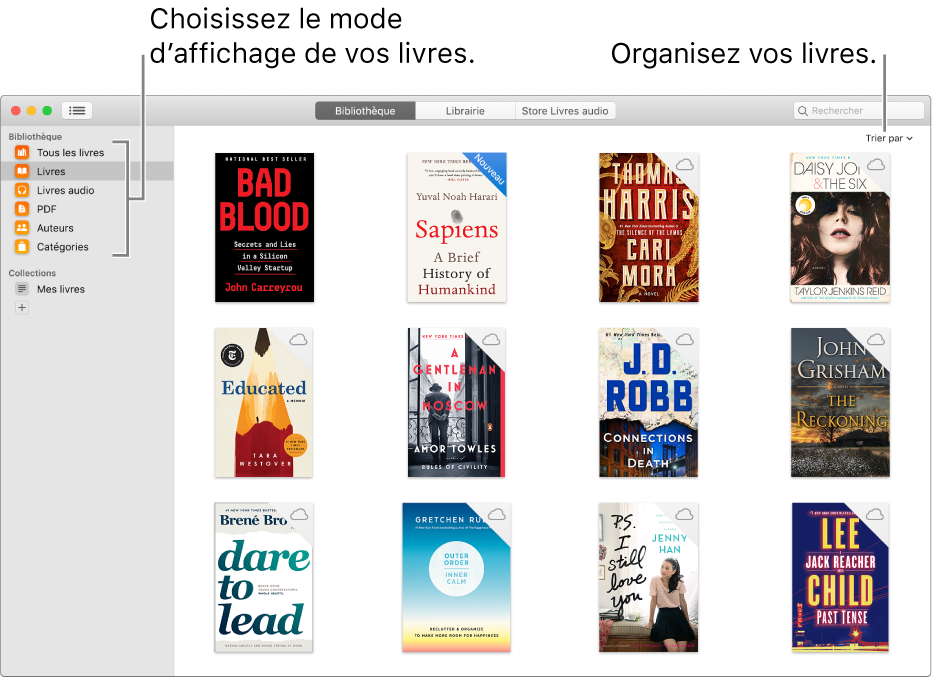 Une collection de livres et de livres audio dans une bibliothèque.