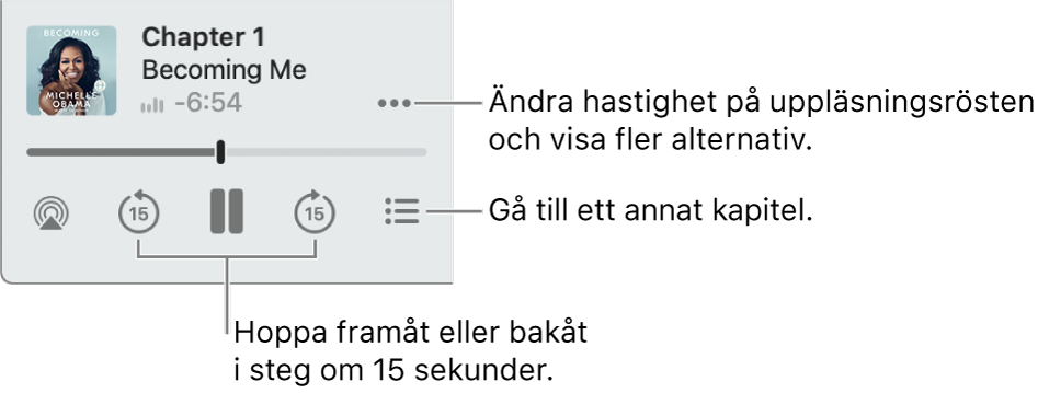 Ljudboksspelaren i Böcker visar knapparna för fler alternativ (nära det övre högra hörnet), innehållsförteckning (nära det nedre högra hörnet) och för att hoppa framåt och hoppa bakåt (när de nedre högra och vänstra hörnen).