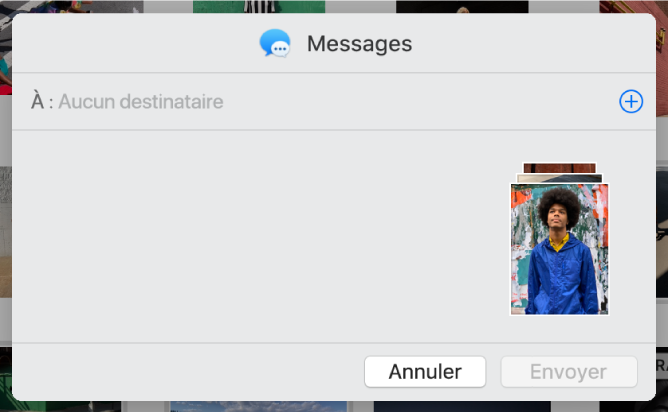 Une boîte de dialogue pour l’ajout de destinataires lors du partage de photos de l’app Photos en utilisant Messages.