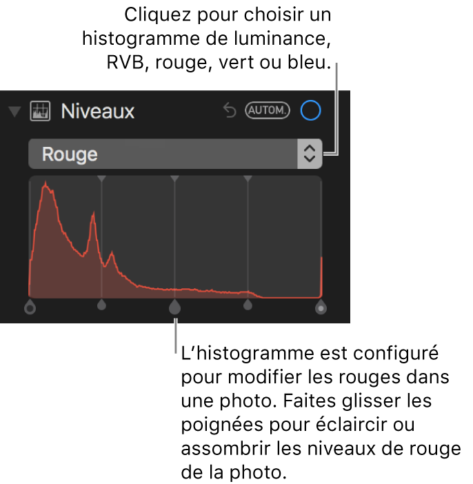 Les commandes de niveaux et d’histogramme permettant de modifier les rouges dans une photo.