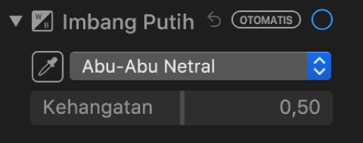 Kontrol Imbang Putih di panel Sesuaikan.