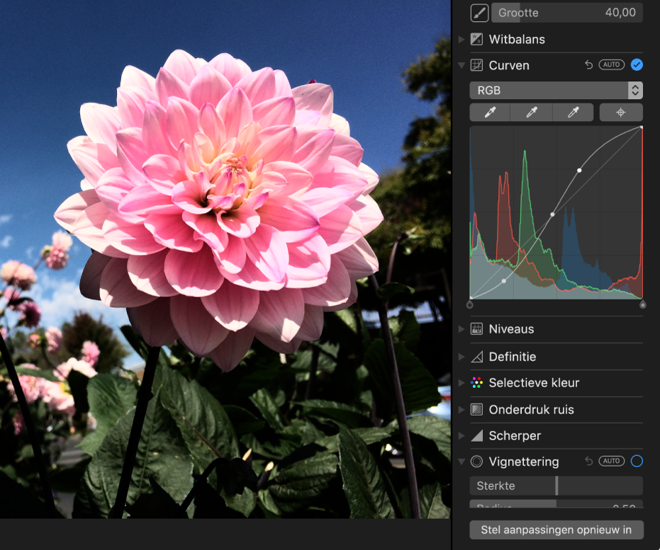 Een foto na het gebruik van de aanpassing 'Curven'.
