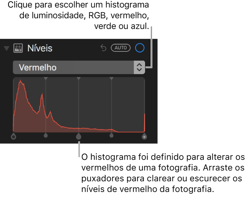 Os controlos de níveis e histograma para alterar os tons vermelhos numa fotografia.