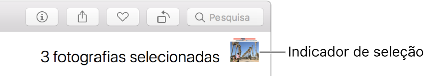 Um indicador de seleção a mostrar três fotografias selecionadas.