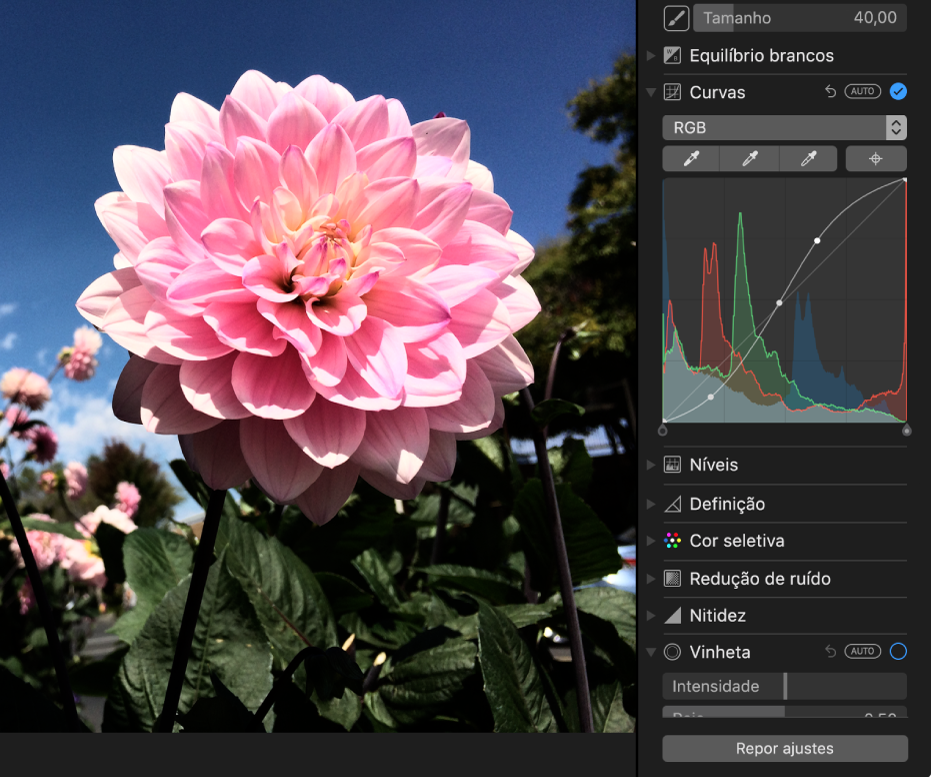 Uma fotografia depois dos ajustes das curvas.
