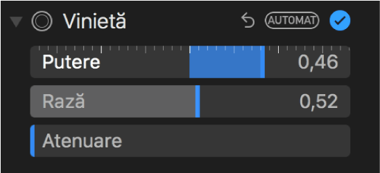 Comenzile Vinietă din panoul Ajustează.