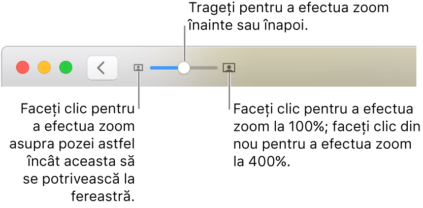 Bara de instrumente afișând comenzile de zoom.