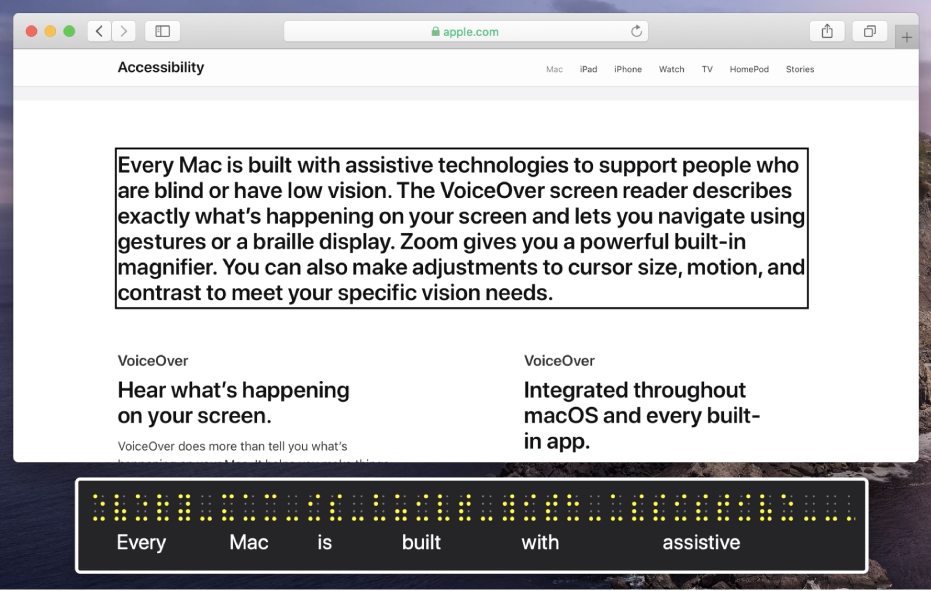 The braille panel showing what is in the VoiceOver cursor on a webpage. The braille panel displays simulated yellow braille dots, with corresponding text below the dots.