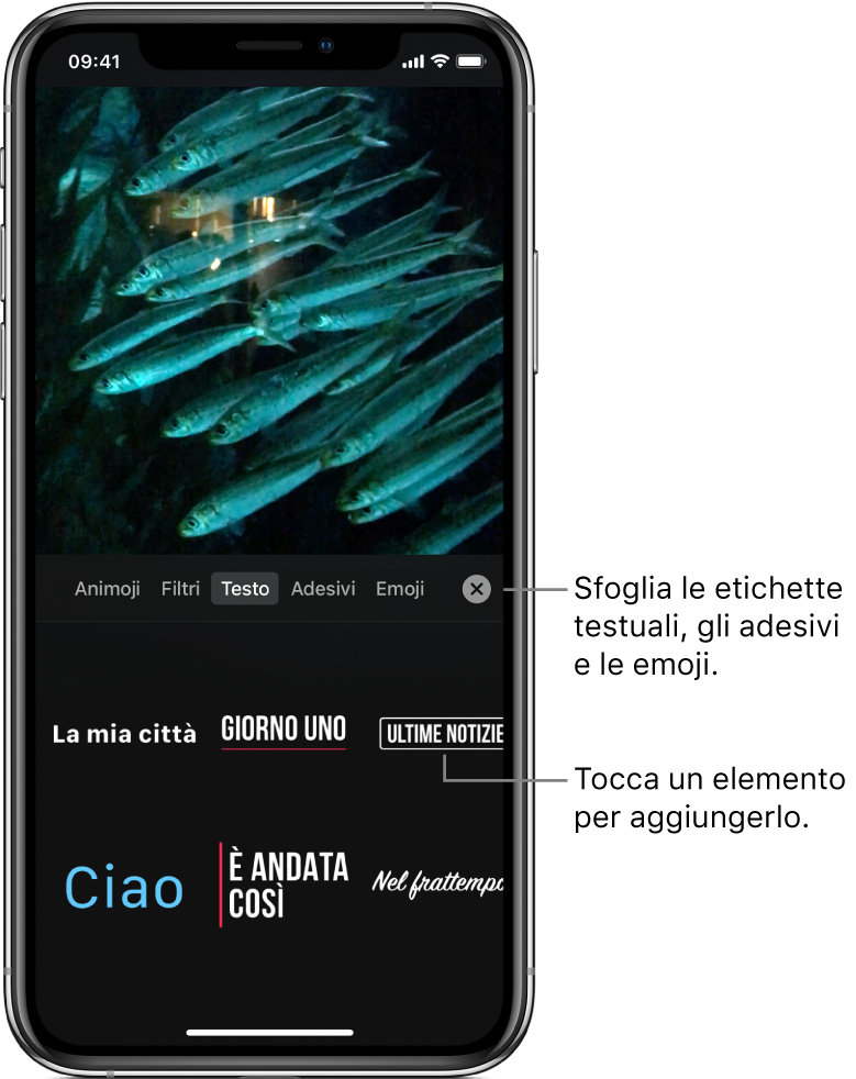 L’immagine di un video nel visualizzatore, con Testo selezionato e le opzioni per le etichette di testo sotto.