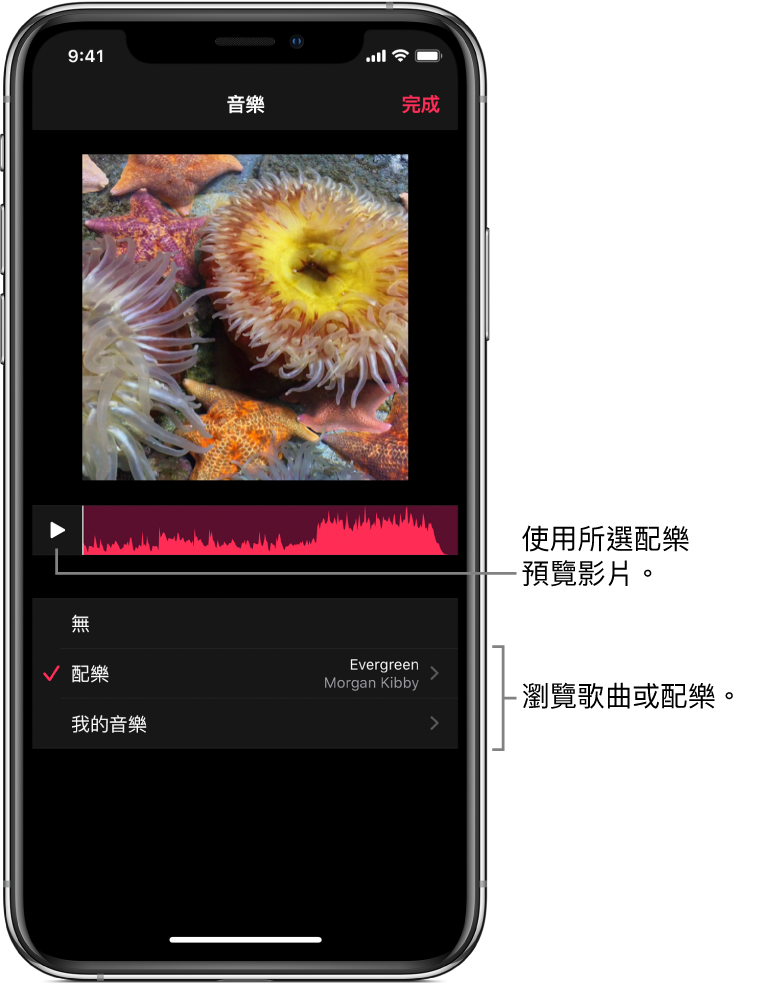 檢視器中影像下方顯示播放按鈕和音訊波形，帶有瀏覽配樂或音樂資料庫的選項。