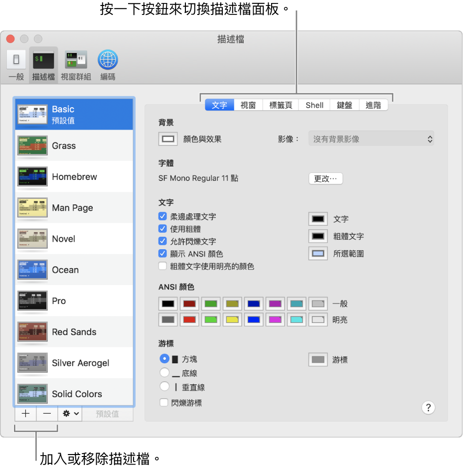 「終端機描述檔」面板顯示已選取的「基本」描述檔、用來加入和移除描述檔的按鈕，以及用於切換描述檔面板的按鈕。