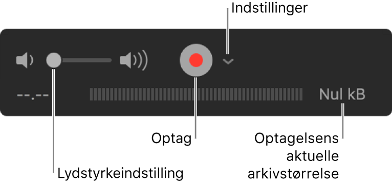 Betjeningsmulighederne til optagelse, inkl. justering af lydstyrke, knappen Optag og lokalmenuen Indstillinger.