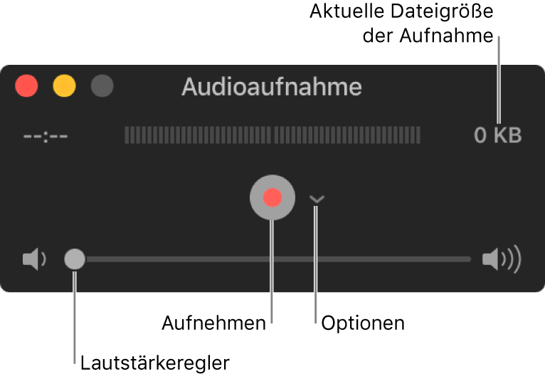 Das Fenster „Audio-Aufnahme“ mit der Aufnahmetaste und dem Einblendmenü „Optionen“ in der Mitte des Fensters sowie dem Lautstärkeregler unten