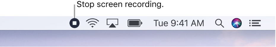 The menu bar showing the Stop Recording button.