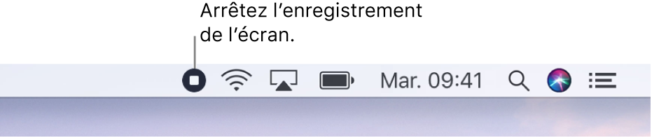 La barre des menus affichant le bouton « Arrêter l’enregistrement ».