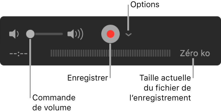 Les commandes d’enregistrement, notamment le contrôle du volume et le bouton Enregistrer, et le menu local Options.