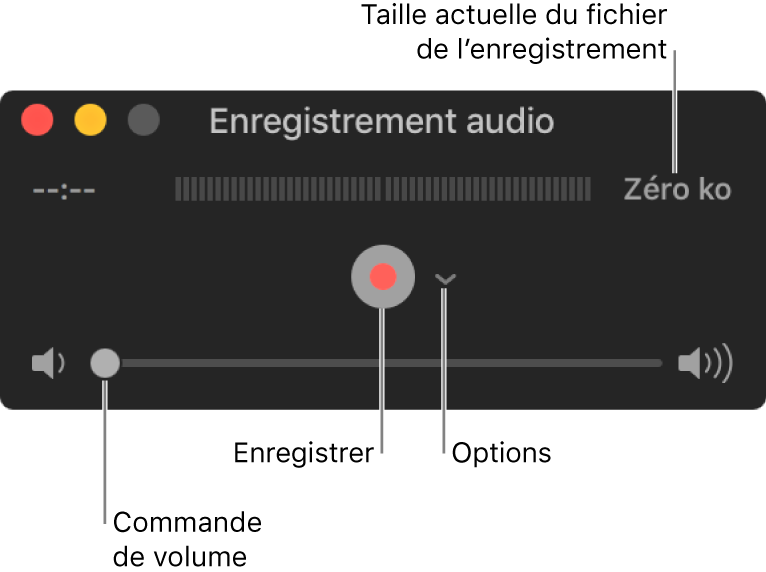 La fenêtre d’enregistrement audio avec le bouton Enregistrer et le menu local Options au centre de la fenêtre, et le contrôle du volume en bas.