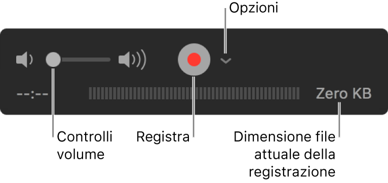 Controlli di registrazione che includono il controllo del volume, il pulsante Registra e il menu a comparsa Opzioni.