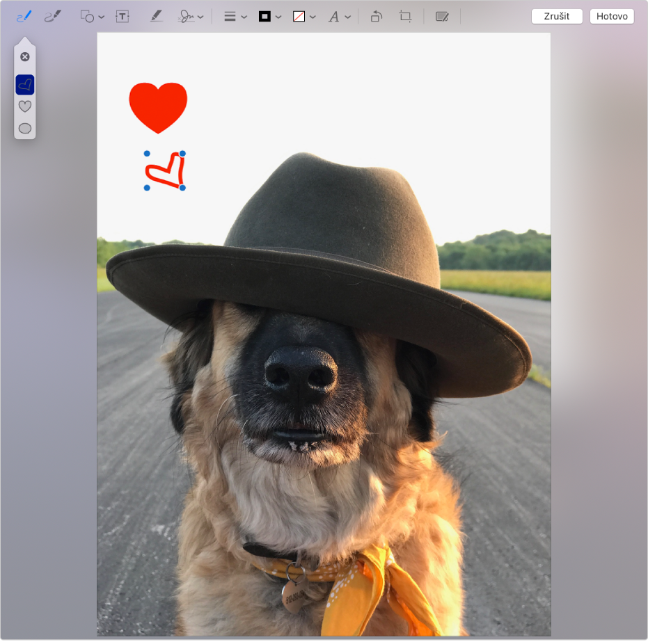 Obrázek srdce nakreslený pomocí nástrojů pro anotace