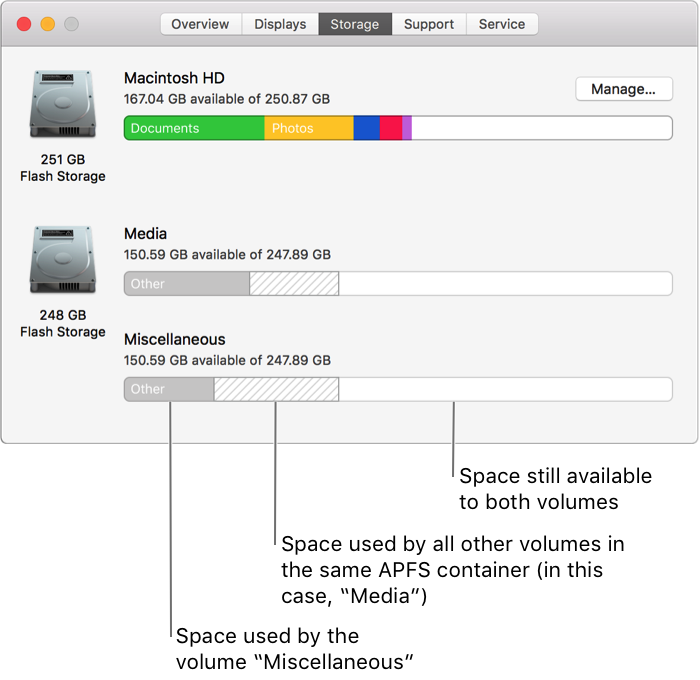 A single APFS partition (container) with two volumes.