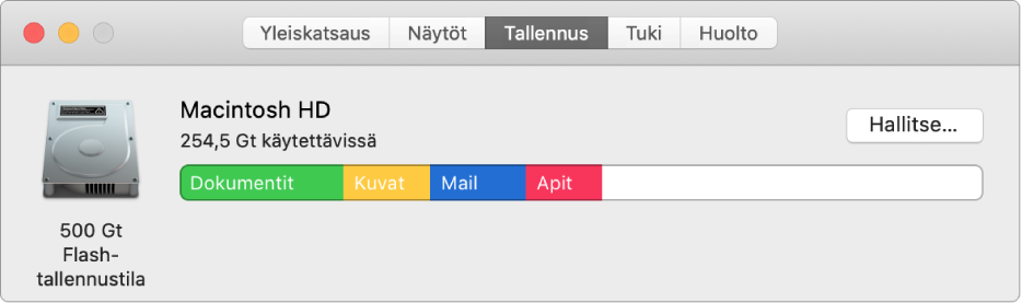 Järjestelmän tietojen Tallennus-osio, jossa näkyy graafinen esitys tallennustilasta.