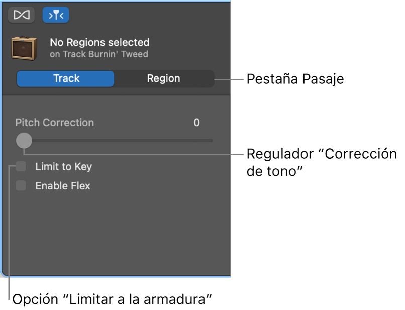 Inspector del editor de audio en modo Pista, con el regulador “Corrección de tono” y la casilla “Limitar a la armadura”.