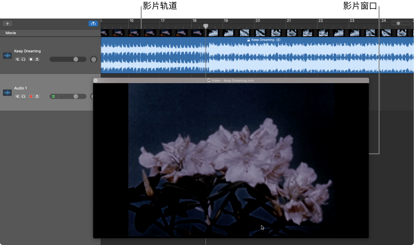 浮动的“影片”窗口和含有影片中音频的轨道。
