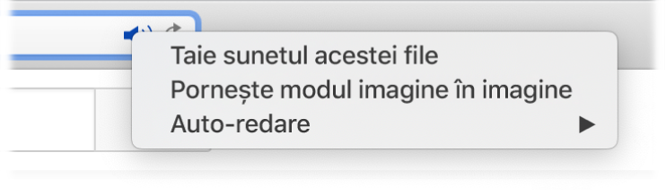 Submeniul pentru pictograma Audio, cu articolele Taie sunetul acestei file, Pornește modul imagine în imagine și Auto-redare.