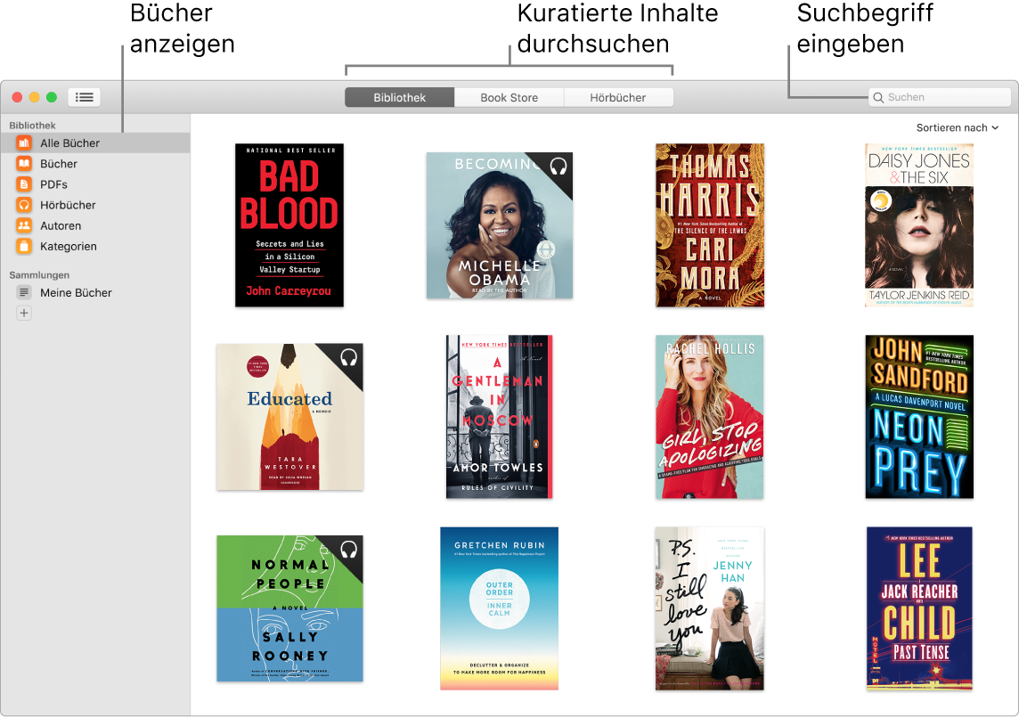 Ein Fenster der App „Bücher“ mit Informationen zum Anzeigen von Büchern, zum Blättern in kuratierten Inhalten und zum Suchen.