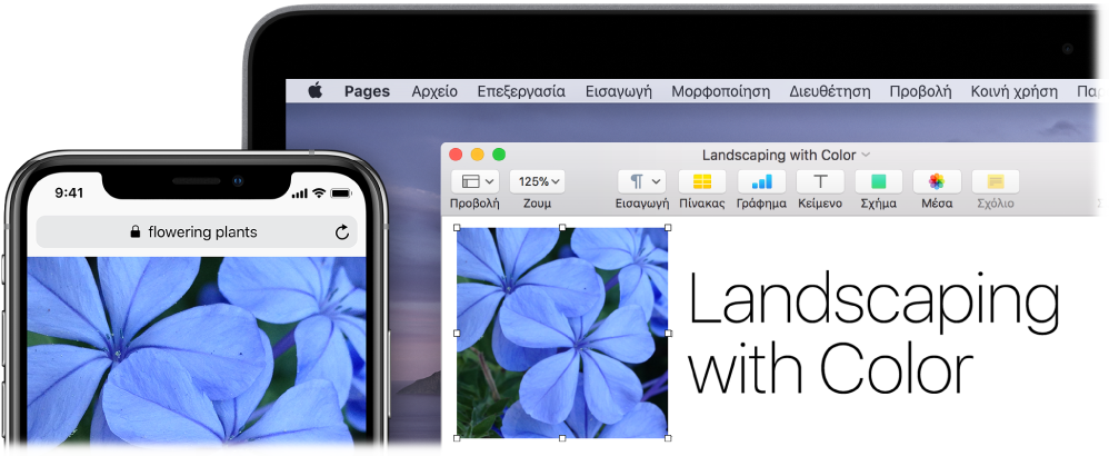 Ένα iPhone όπου εμφανίζεται μια φωτογραφία, δίπλα σε ένα Mac όπου φαίνεται η επικόλληση της φωτογραφίας σε ένα έγγραφο Pages.