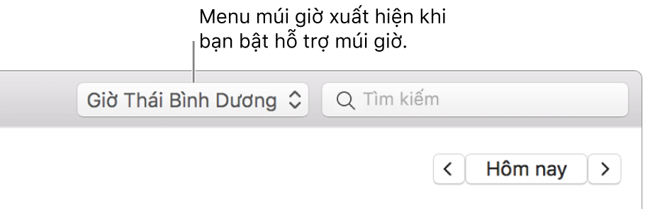 Menu múi giờ xuất hiện ở bên trái trường tìm kiếm khi bạn bật hỗ trợ múi giờ