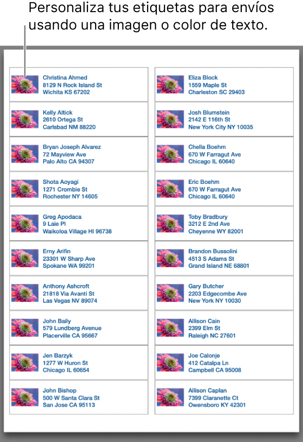 Una previsualización de etiquetas de correo, personalizadas con una imagen y color del tipo de letra, listas para imprimirse.