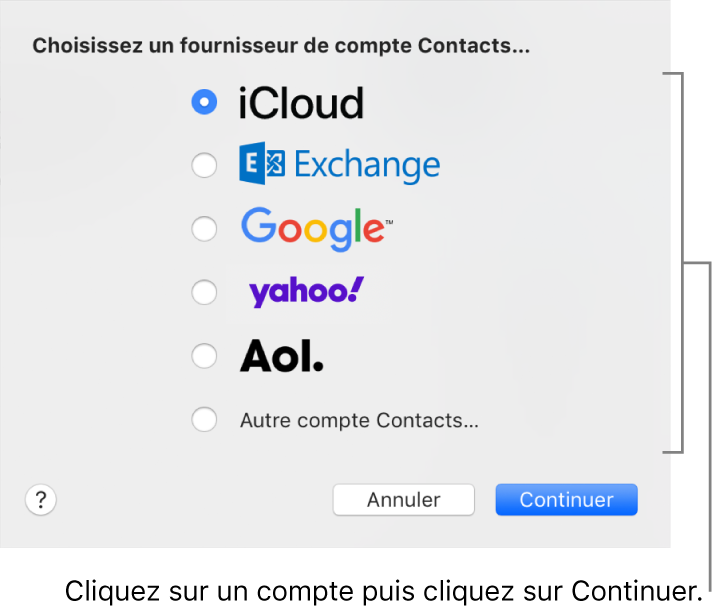 Fenêtre permettant d’ajouter des comptes Internet à l’app Contacts.