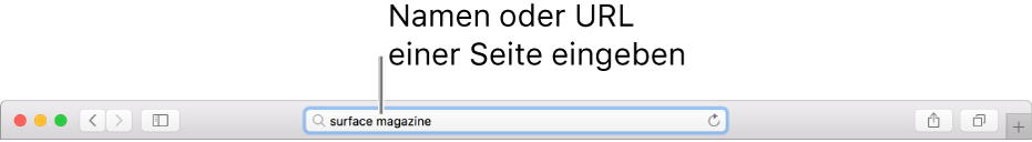 Das intelligente Suchfeld von Safari, in dem du den Namen oder die URL einer Seite eingeben kannst.