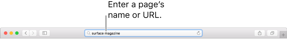 The Safari Smart Search field, where you can enter a page’s name or URL.
