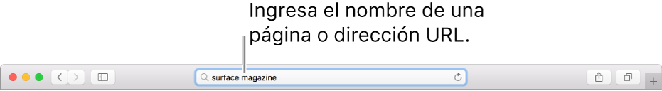 El campo de búsqueda inteligente de Safari, en donde puedes ingresar el nombre de una página o un URL.