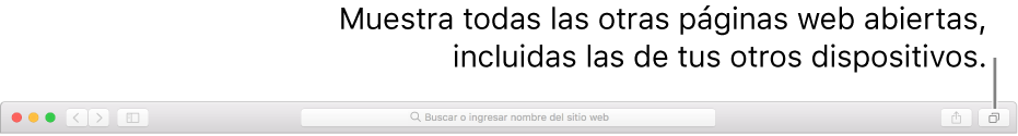 La barra de herramientas, mostrando el botón “Mostrar todas las pestañas”.