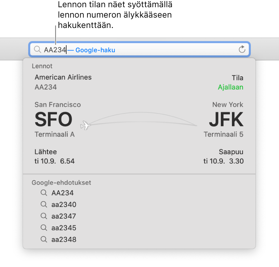 Älykkääseen hakukenttään syötetty lennon numero ja lennon tiedot sen alapuolella.