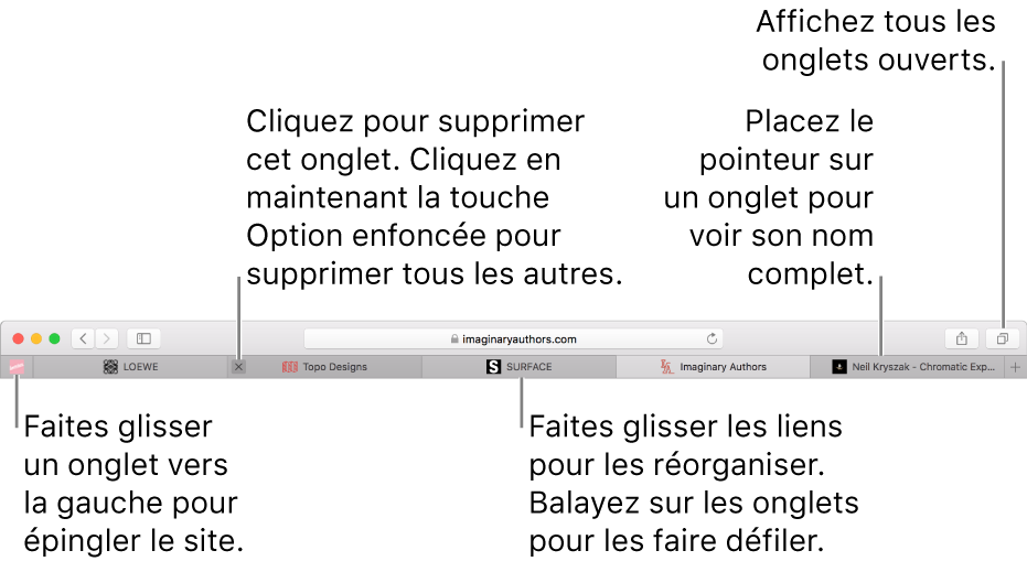 La fenêtre Safari comportant des onglets.