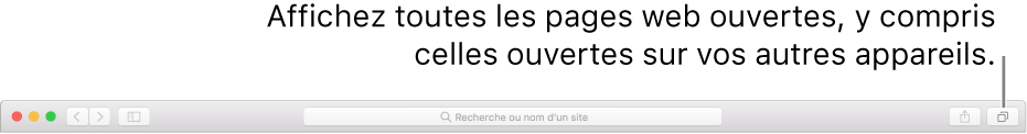 La barre d’outils avec le bouton Afficher tous les onglets.