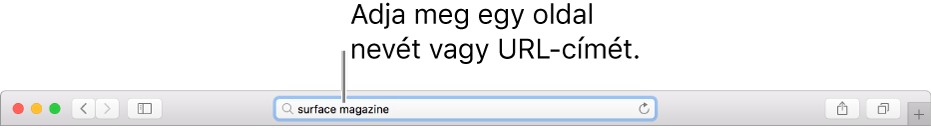A Safari intelligens keresési mezője, ahol megadhatja a weboldal nevét vagy URL-címét.
