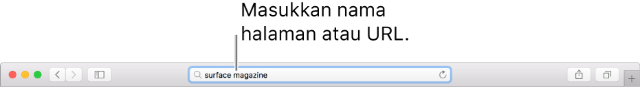 Bidang Pencarian Cerdas Safari, tempat yang dapat Anda masukkan nama atau URL halaman.