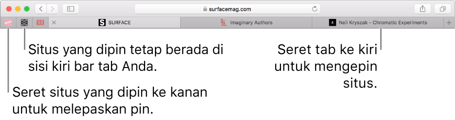 Situs yang dipin di bar tab Safari.